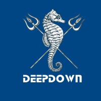 DeepDown Divecenter logo - Similar company to Rainbow Divers Vietnam