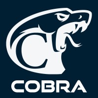 Cap Cobra logo - Similar company to Nods Technologies