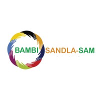 BAMBISANDLA SAM logo - Similar company to Stitchwise (Pty) Ltd