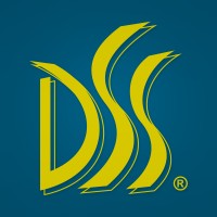 Dss Sistemas De Segurança Ltda
