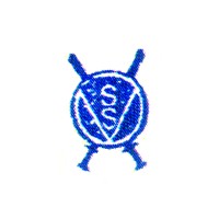 Vishal Security Service logo - Similar company to Hicube Designs