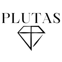 Plutas Group logo - Similar company to Plutas