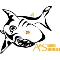 Answer Sharks, Inc logo - Similar company to Ebiexperts