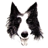 Clever Collie Productions logo - Similar company to Wedditor Official