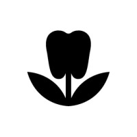 Black Tulip Management, Inc. logo - Similar company to Barkle
