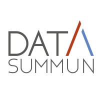 Data Summun logo - Similar company to Scripta Software