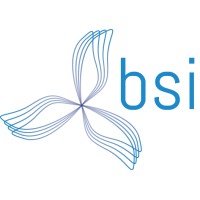 Broad Spectrum Industrial Components and Repair logo - Similar company to Sei Homes, Llc