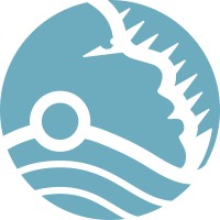 Driftseed logo - Similar company to 1Xrun Llc