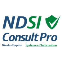 NDSI consult Pro logo - Similar company to Iconet