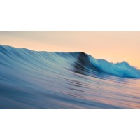 Next Wave Consulting Group