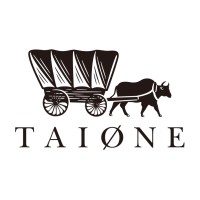 Taione Trading Ltd. logo - Similar company to Ct Control Temp