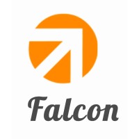Falcon Internet logo - Similar company to Speed Net Inc