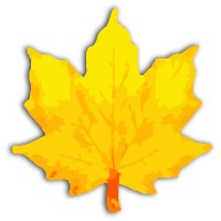 Prompt Infotech Coimbatore logo - Similar company to Payticks