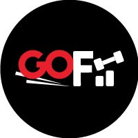 GoFit co logo - Similar company to Lucent Business Solutions