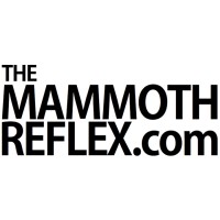 The Mammoth's Reflex logo - Similar company to The Mammoth Site