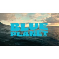 Blue Planet Manufacturing logo - Similar company to Wicked Thrift Store