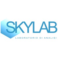 Skylab logo - Similar company to Skylab