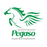 Pegaso logo - Similar company to Perú 8Mil