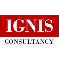 Ignis Consultancy logo - Similar company to Ignis Consulting