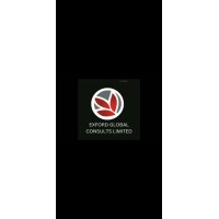 Exford Global Consult Limited logo - Similar company to Bellve