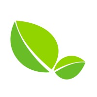 Think Mint Media