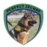 Perfect Zecure Nig. Ltd.