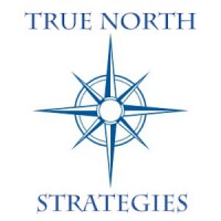 True North Strategies logo - Similar company to Calvin8 Solutions