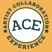 Artist Collaboration Experience
