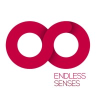 Endlessenses - Animação Turística e Eventos, Lda. logo - Similar company to Mapazero - Teambuilding E Eventos