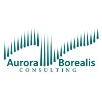 Aurora Borealis Consulting logo - Similar company to Borealis Consulting Llc