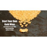 Start Your Own Gold Mine logo - Similar company to Maroni Exploitation Miniere