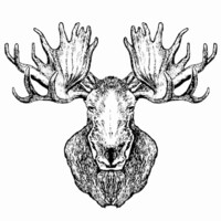 Anchorage Distillery logo - Similar company to Ra Cosmetics