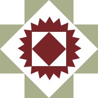 Southwest Health System logo - Similar company to Santé Globale Agesness Inc.