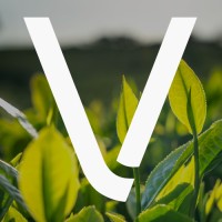 Venturi Technologies logo - Similar company to Everyware Technologies