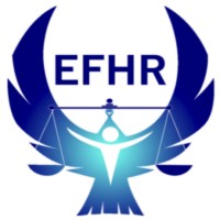 Egyptian Front for Human Rights (EFHR) logo - Similar company to Contesting Governance