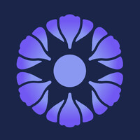 Iris logo - Similar company to Iris Ai (Pty) Ltd