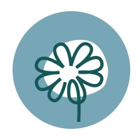 Desta Therapy logo - Similar company to Alamo Ranch Counseling & Wellness