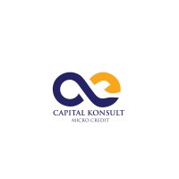Capital Konsult Micro Credit logo - Similar company to Maxspeed Micro-Credit