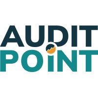 Audit Point logo - Similar company to Nfbc