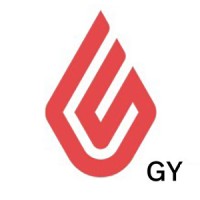 Lightspeed powered by Golden Yuppie (Spain) logo - Similar company to Guild Wars 2 Spain