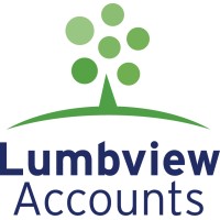 Lumbview Accounts Limited logo - Similar company to Visionary Accountants