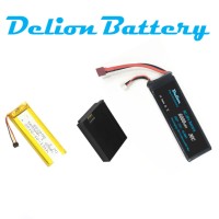 Delion Battery logo - Similar company to Battery Packs