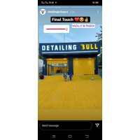 Detailing Bull logo - Similar company to Modern Technologies