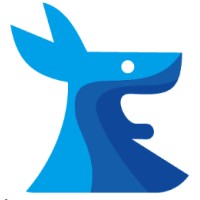 Kangaroo IT Solutions logo - Similar company to Kangaroo Software