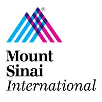 Mount Sinai International (MSI) logo - Similar company to Logicque