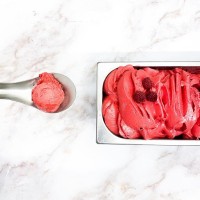 Gelateria Tutto Gelato Jesolo logo - Similar company to The Good Sourcing