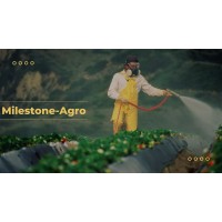 Milestone-Agro logo - Similar company to Smash Global Logistics