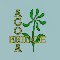 Agora Bridge logo - Similar company to Indalgo Oy