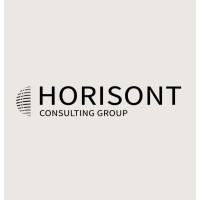 Horisont Consulting Group logo - Similar company to Bw Velora