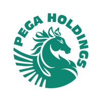 PEGA Holdings logo - Similar company to X-Profile